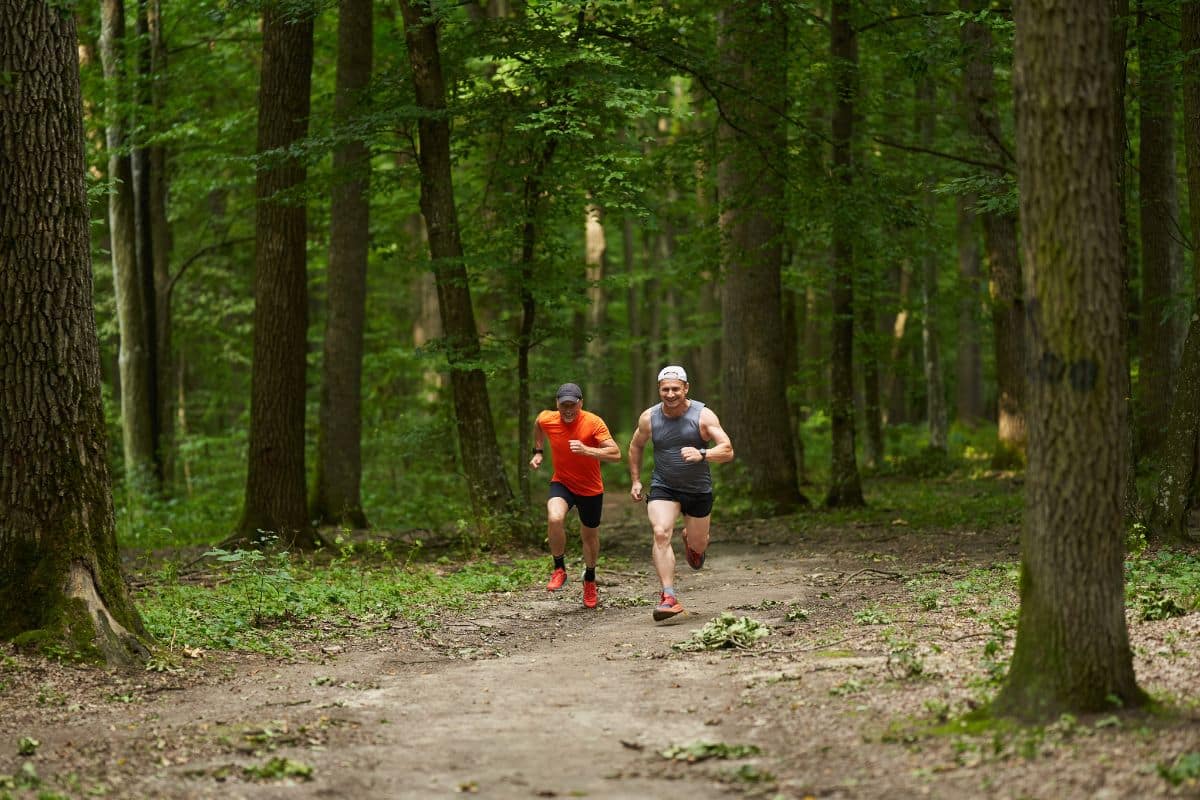 Runners in the forest